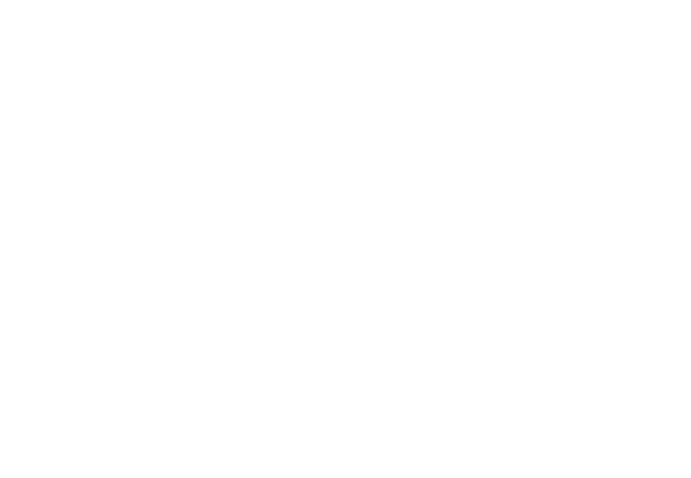 icon-security-avoip